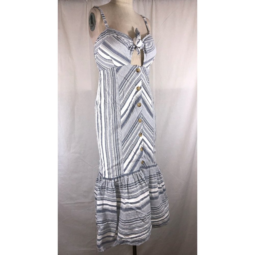 Red Carter Madelyn Striped Blue White Midi Dress